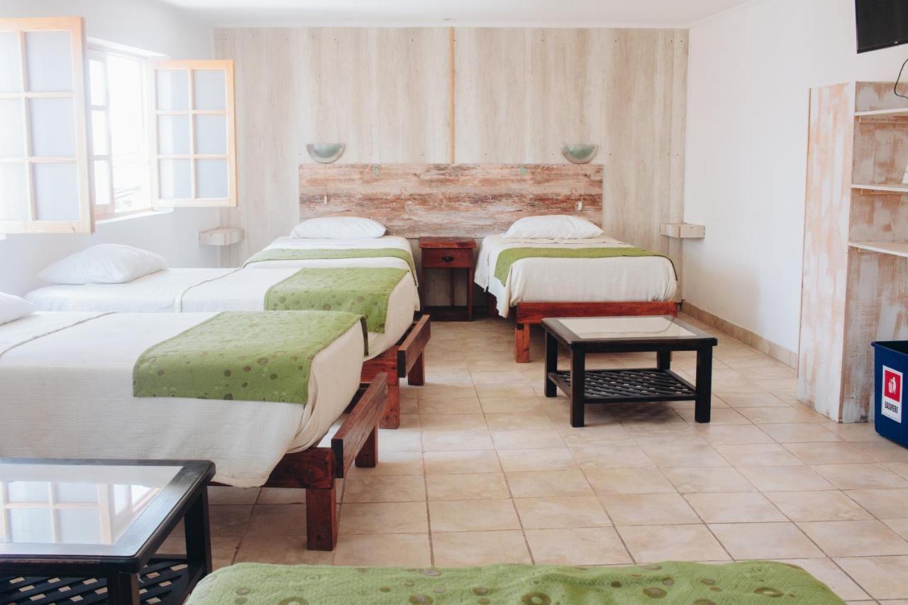 Hostal Valle Mistral Ла-Серена Екстер'єр фото