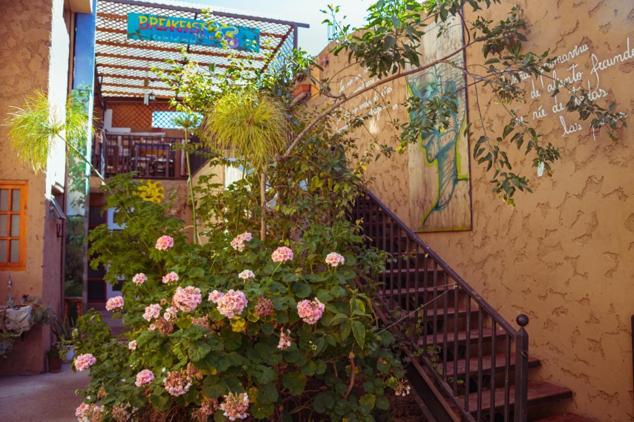 Hostal Valle Mistral Ла-Серена Екстер'єр фото
